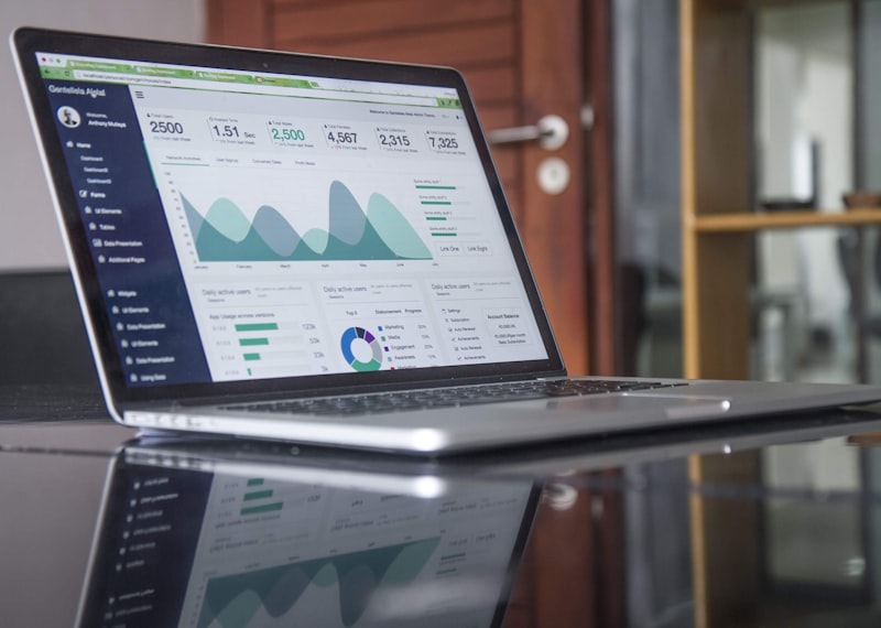 Business Analytics and Growth